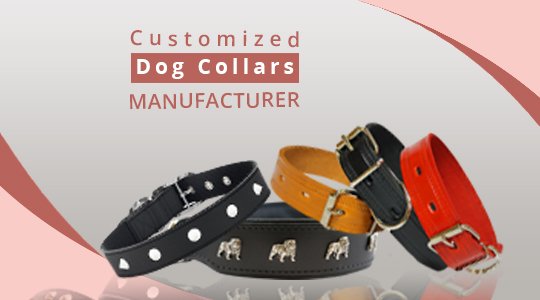 Customized dog collars sales india