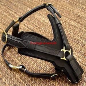 Black Designer Pure Leather Dog Harness