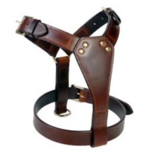 Genuine Leather Dog Harness for Medium Size Dogs