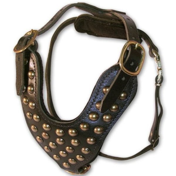 Spiked Studded Leather Dog Harness