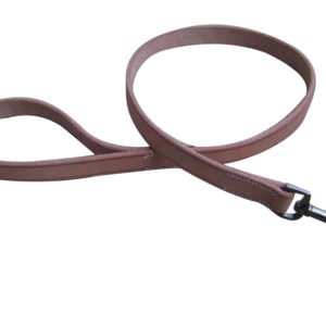 pure leather dog leash