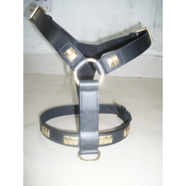 Brass Metal Studded Black Leather Dog Harness