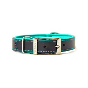 Padded Leather Belt Dog Collar