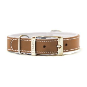 Dog Collars Manufacturer in India