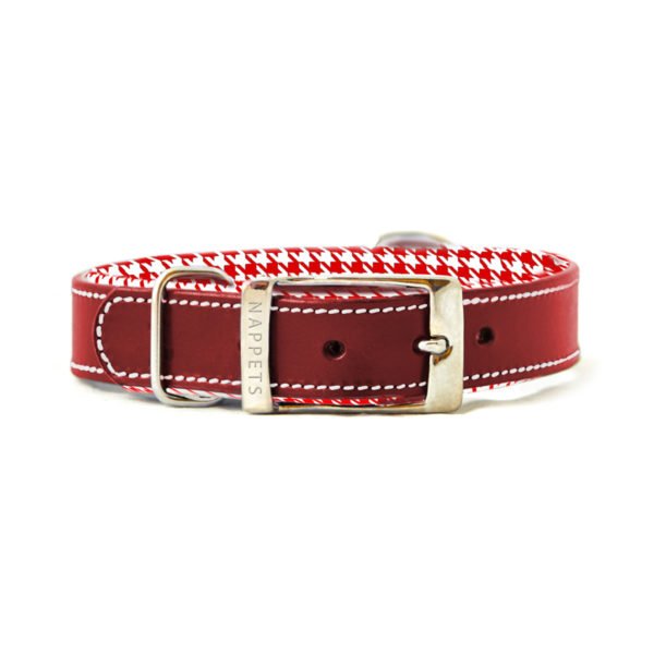 Leather Dog Collars Manufacturer in India