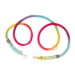 Prismatic Colors Rope Dog Leash