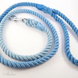 Blue Ombre Pet Leads Supplier India