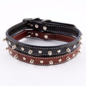 Spiked Leather Dog Collars