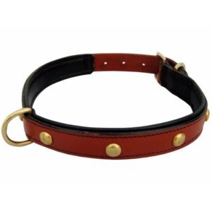 Brass Stud Leather Dog Collars
