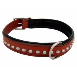 Metal Studded Dog Collar