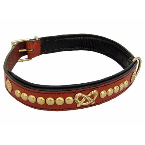 Leather Dog Collars Brass Studded