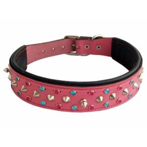 Cute Female Dog Collars