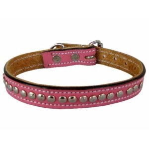 Leather Female Studded Dog Collars