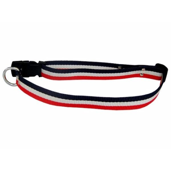 Simple Dog Collar For Small Dogs