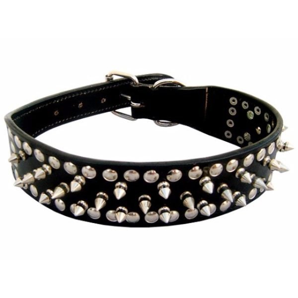 Black Spiked Dogs Collar