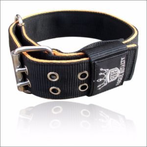 Heavy Duty Nylon Dog Collar