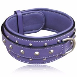 Cushioned Leather Dog Collars