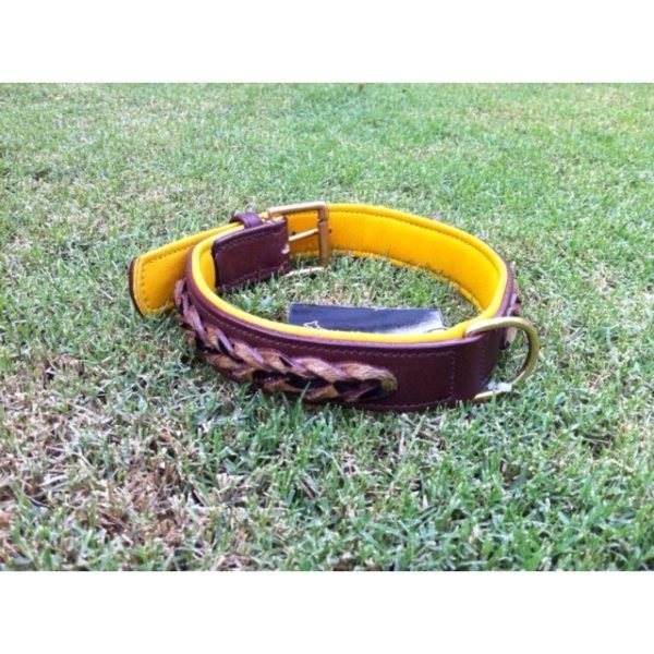 Yellow Padded Leather Dog Collar