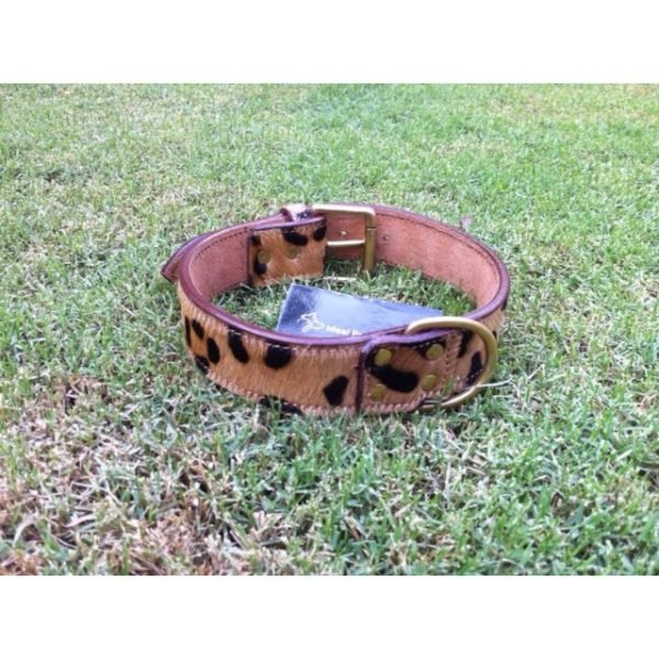Leather Pet Collars Manufacturer in India