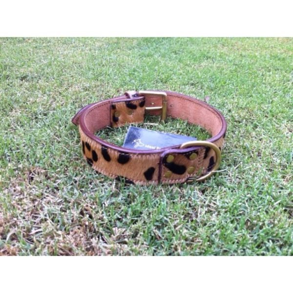 Leather Pet Collars Manufacturer in India