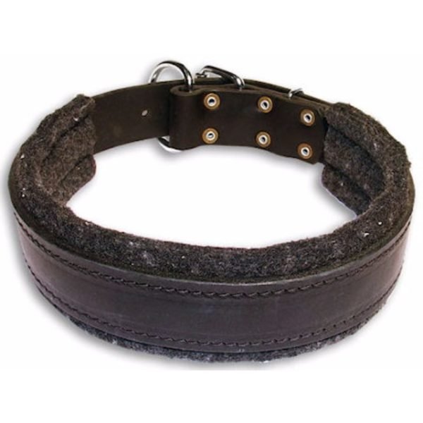 Padded Cushion Dog Collars