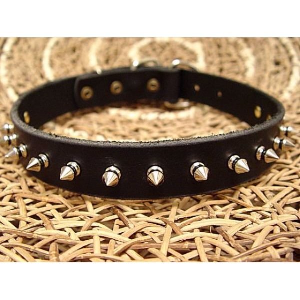 Metal Spiked Dog Collars