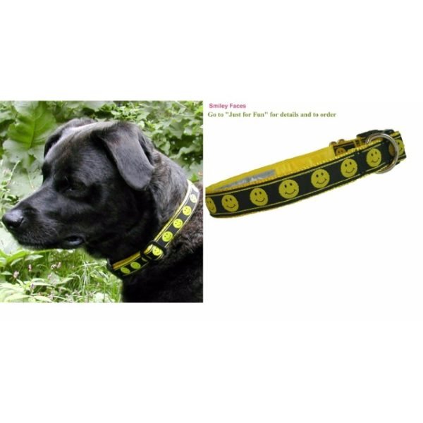 Printed Nylon Pet Collar