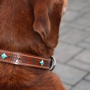 Gemstone Studded Leather Dog Collars