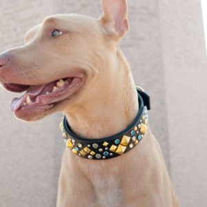 Handcrafted Leather Dog Collars