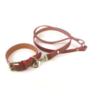 Leather Dog Collars and Leashes