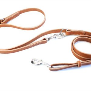 Training Leather Dog Leash