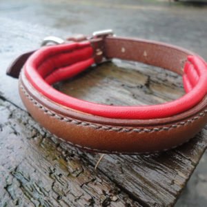 Padded Leather Dog Collar Manufacturer