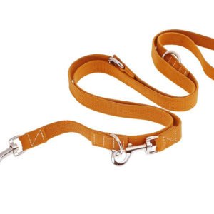Orange Cotton Dog Leashes