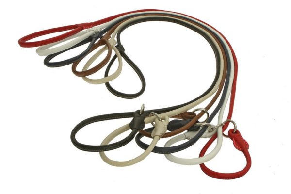Best Leather Dog Leashes