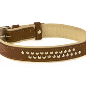 Padded Dog Collar Studded