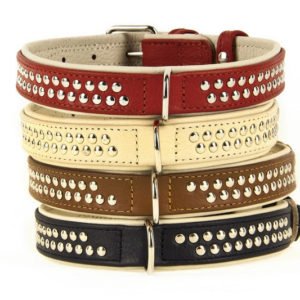 Studded Leather Dog Collars