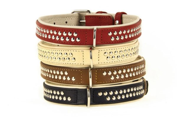 Studded Leather Dog Collars