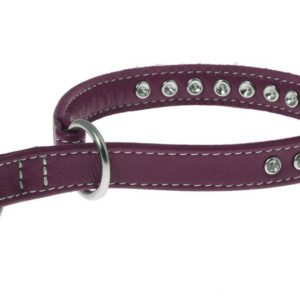 Studded Leather Dog Collar