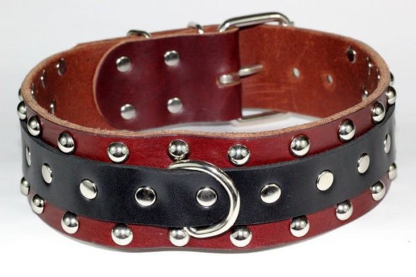 Leather Studded Dog Collar