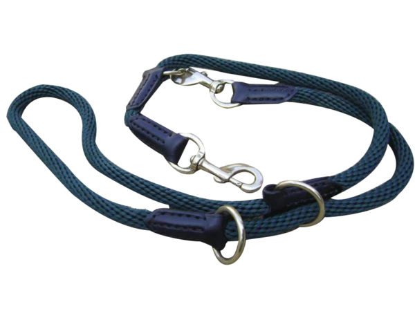 adjustable green nylon dog leash for large dogs