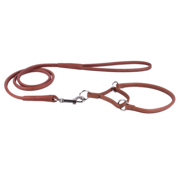 Martingale Dog Collar and Leash