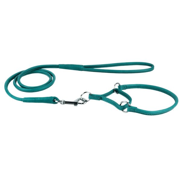Leather Martingale Collars and Leashes