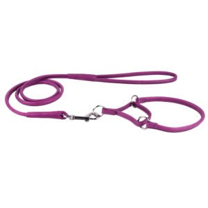 Purple Martingale Combo Dog Collar and Leash Manufacturer