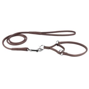 Martingale Collar Leash Set