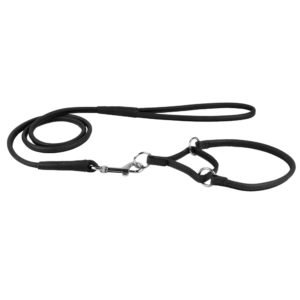 Black Martingale Leash Collar Combo