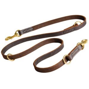 Leather Adjustable Dog Lead