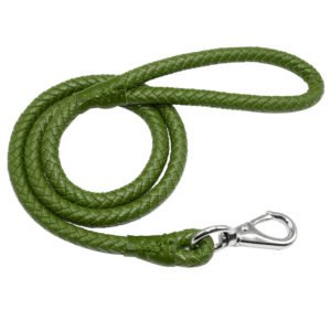 Braided Green Dog Leather Leash