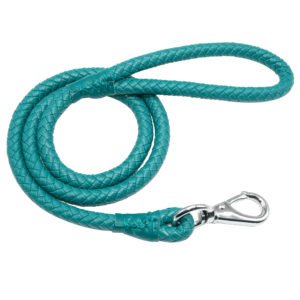 Aqua Blue Leather Dog Leashes Wholesale