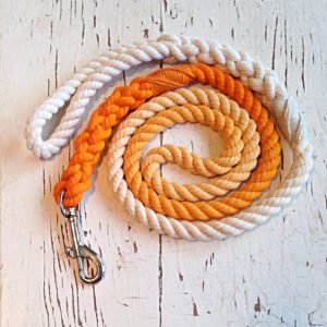 Ombre Cotton Rope Dog Leash