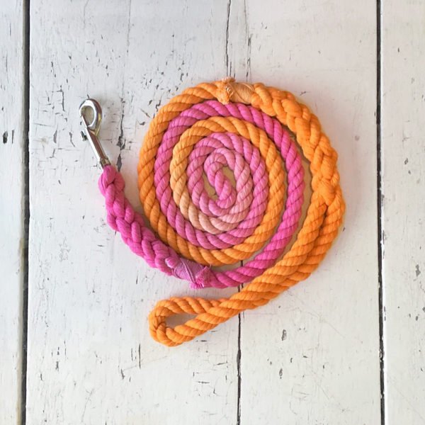 Pink Orange Ombre Dog Leash